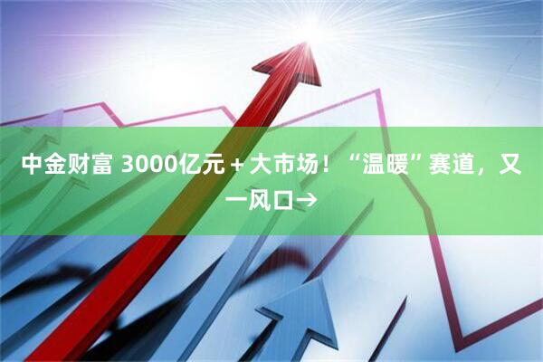 中金财富 3000亿元＋大市场！“温暖”赛道，又一风口→